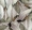 Forbo Flotex Dutch Design 001409 - Tulip Field Original