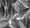 Forbo Flotex Dutch Design 001588 - Tulip Field Grey