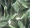 Forbo Flotex Dutch Design 001589 - Tulip Field Green