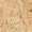 Tarkett  Linoleum Veneto Essenza+ 679