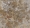 Forbo  Flotex Hospitality & Leisure - Statement 264303 - Natural Bloom Dune