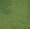 Interface  Composure 4169071 - Olive