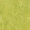 Forbo  Marmoleum Real 3224 - Chartreuse