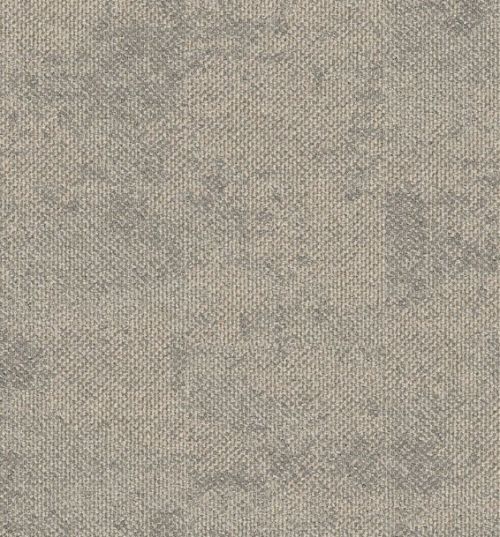 Interface Upon Common Ground - Dry Bark