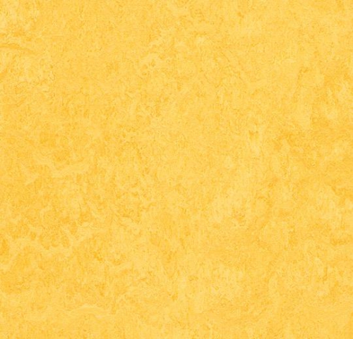 Forbo  Marmoleum Fresco 3251 - Lemon Zest