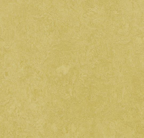 Forbo  Marmoleum Fresco 3259 - Mustard