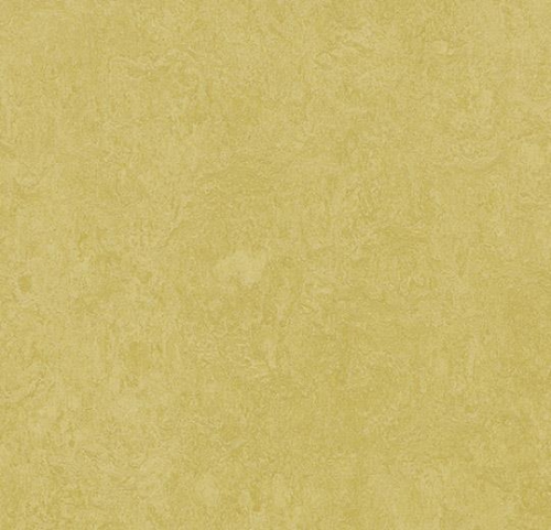 Forbo  Marmoleum Fresco 3259 - Mustard