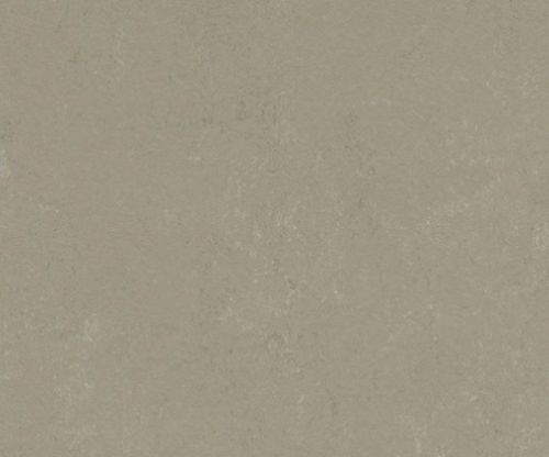 Forbo  Marmoleum Concrete 3759 - Mercury