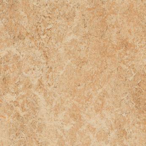 Forbo  Marmoleum Real 3075 - Shell