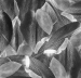 Forbo Flotex Dutch Design 001588 - Tulip Field Grey