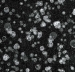 Forbo Flotex Dutch Design 001590 - Starwalk Black