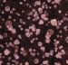 Forbo Flotex Dutch Design 001591 - Starwalk Multi