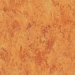 Tarkett  Linoleum Veneto Essenza+ 636