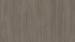 Tarkett Acczent Excellence Compact+ 206012085 - Variant Oak Plank Brown Grey