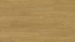Tarkett Acczent Excellence Compact+ 206046094 - XXL Oak Golden
