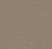Forbo  Marmoleum Piano 3631 - Otter