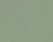 Forbo  Marmoleum Concrete 3750 - Pine Forest