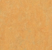 Forbo  Marmoleum Real 3847 - Golden Saffron