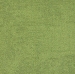 Interface  Composure 4169070 - Fern