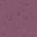 Nora Noraplan Sentica B 6501
