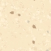 Nora Noraplan Signa B 7055