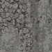 Interface  Human Nature 850 7615002 - Nickel