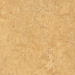 Forbo  Marmoleum Real 3173 - Van Gogh
