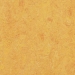 Forbo  Marmoleum Real 3225 - Dandelion