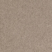 Tarkett Desso Palatino B 2923